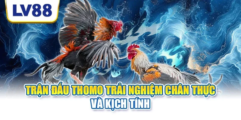 Bí quyết giúp người mới nâng cao khả năng quan sát Bí quyết giúp người mới nâng cao khả năng quan sát