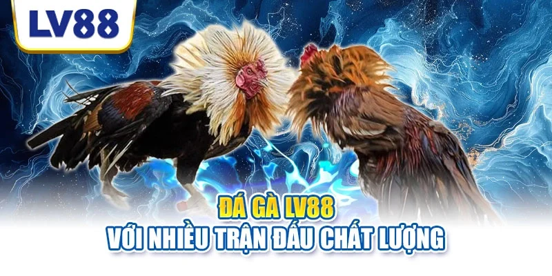 Trận đấu Thomo trải nghiệm chân thực và kịch tính Trận đấu Thomo trải nghiệm chân thực và kịch tính