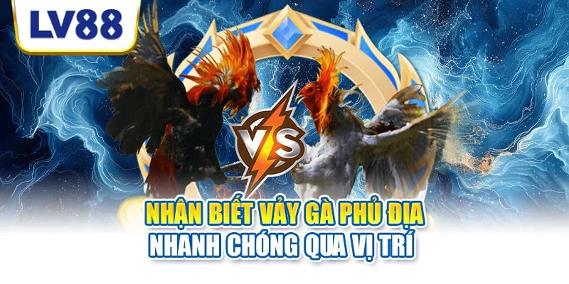 Nhận biết vảy gà phủ địa nhanh chóng qua vị trí Nhận biết vảy gà phủ địa nhanh chóng qua vị trí