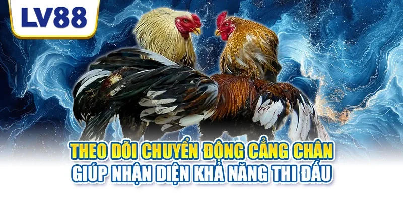 Theo dõi chuyển động cẳng chân giúp nhận diện khả năng thi đấu Theo dõi chuyển động cẳng chân giúp nhận diện khả năng thi đấu