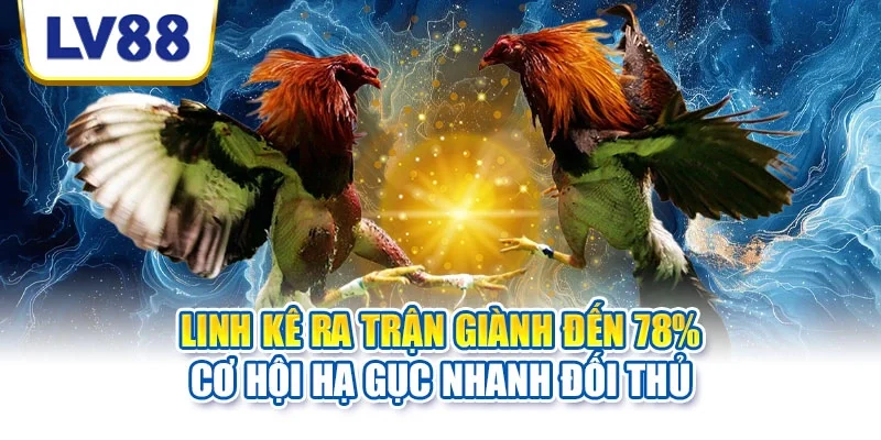 Linh kê ra trận giành đến 78% cơ hội hạ gục nhanh đối thủ Linh kê ra trận giành đến 78% cơ hội hạ gục nhanh đối thủ