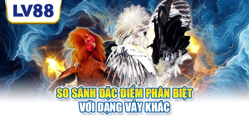Tiêu chí đánh giá chiến kê qua vảy đặc biệt Tiêu chí đánh giá chiến kê qua vảy đặc biệt